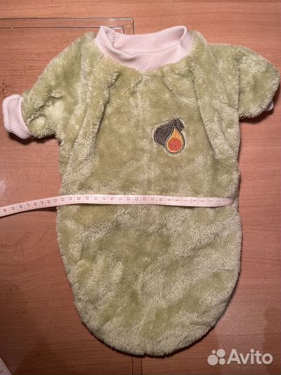 Одежда для собак