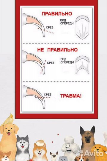 Когтерезка когтерез для животных оптом