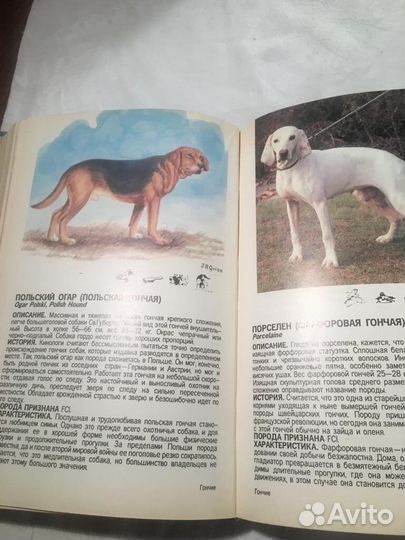 Малый атлас пород собак