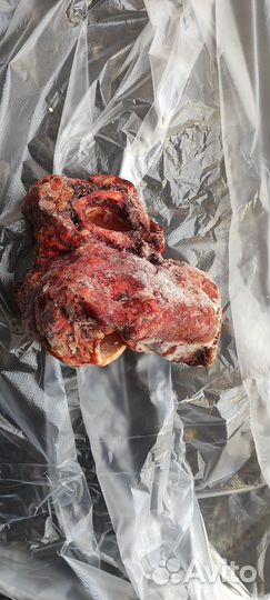 Субпродукты говядины
