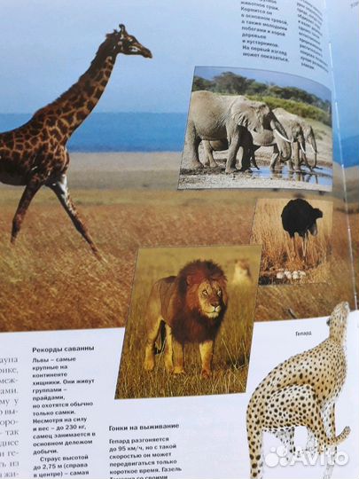 Атлас мира/ Ридерз дайджест