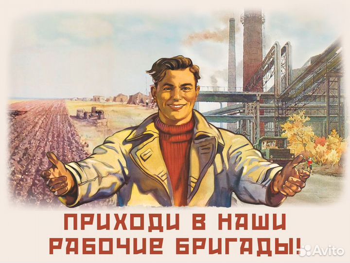 Сбор помидоров с ежедневной оплатой