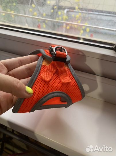 Шлейка для маленькой собачки