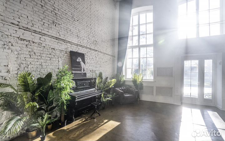 Аренда фотостудии 