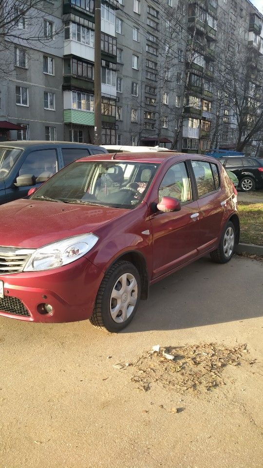 Renault Sandero: фото владельца