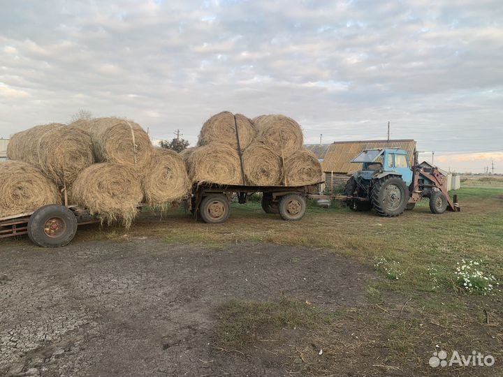 Сено в рулонах, свежее