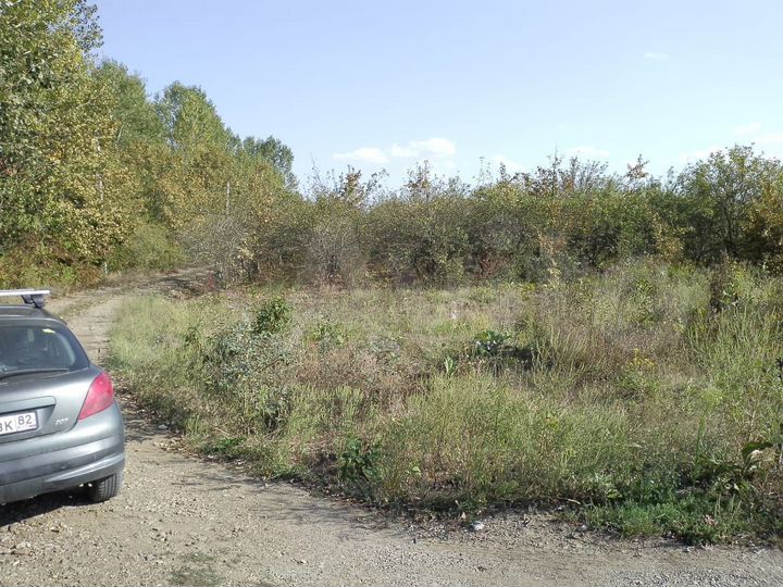 Участок 1,25 га (СНТ, ДНП)