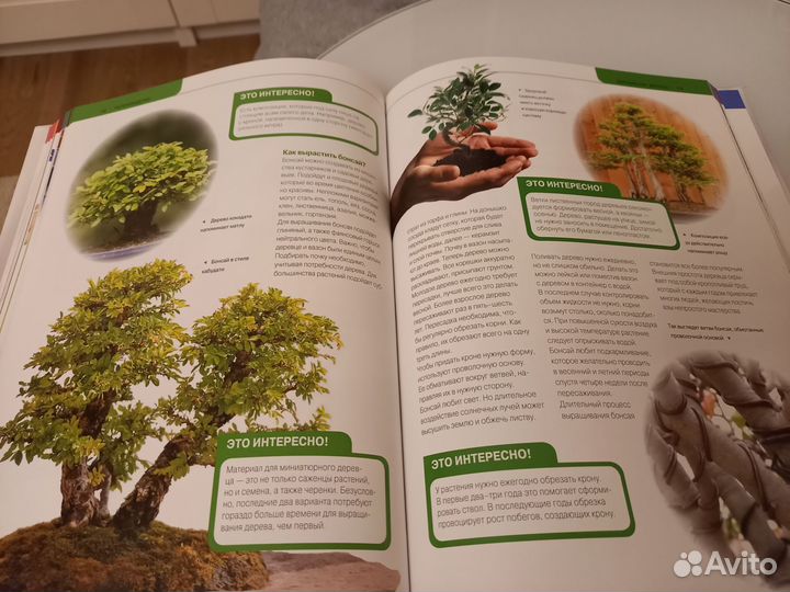 Энциклопедия для девочек, женщин