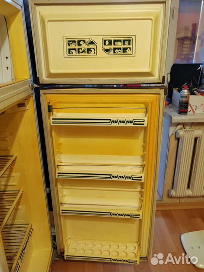 Холодильник чинар