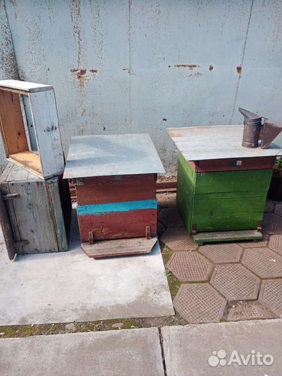 Ульи пчелиные