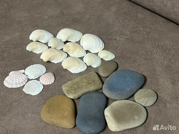 Искусственные водоросли для аквариума