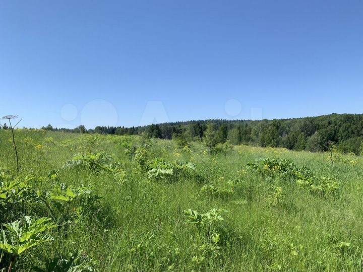 Участок 5,9 га (СНТ, ДНП)