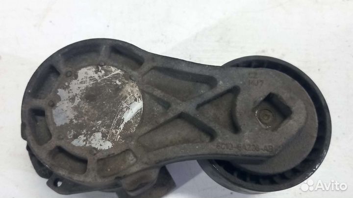 Натяжитель ремня Ford Transit 7