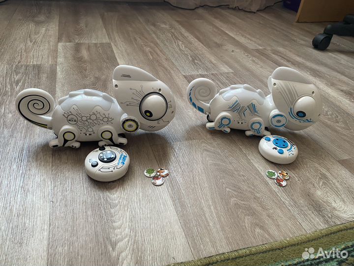 Хаммелион silver