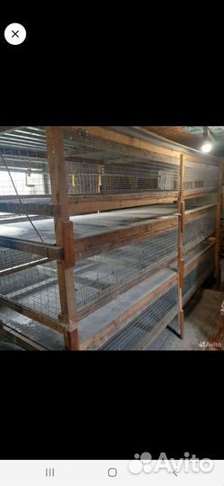 Клетки под бролер И можно под кралей