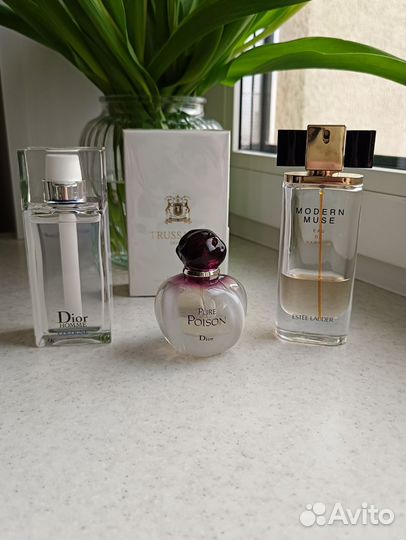 Estee lauder modern Muse