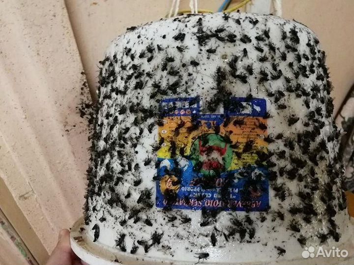 Ловушка для мух, оводов, слепней, других насекомых