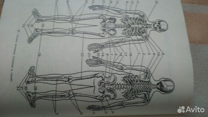 Учебник - пособие Юного художника