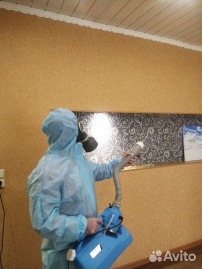 Уничтожение клопов, тараканов и других насекомых