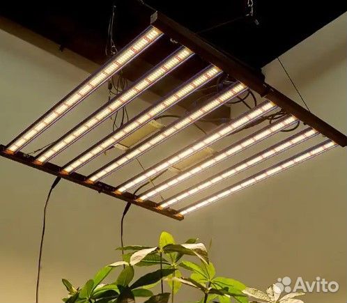 Фитолампа quantum board полный спектр 300 Вт