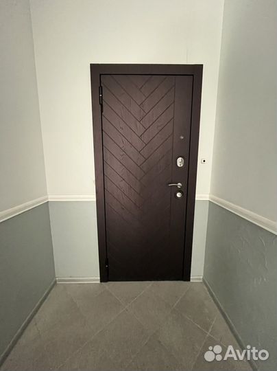 Дверь входная Вектор с зеркалом