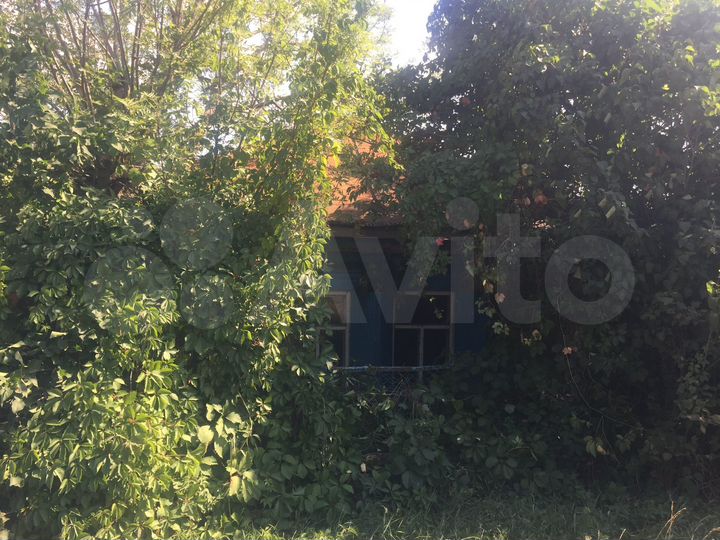 Участок 41 сот. (ИЖС)