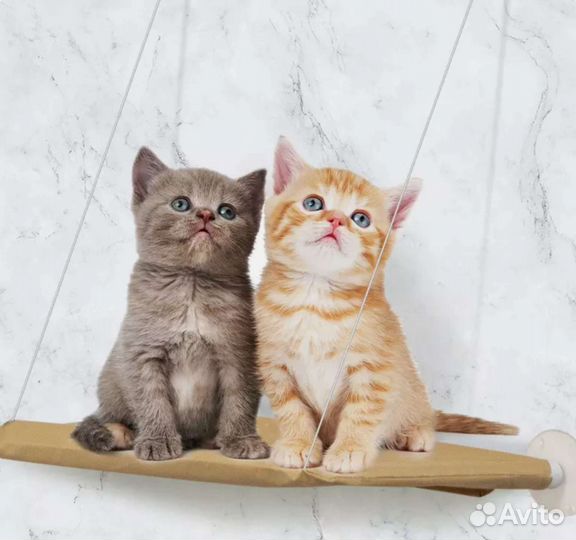 Лежанка для кошек