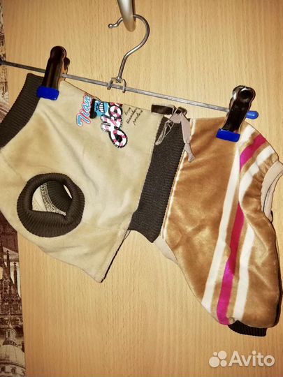 Одежда для маленьких собак