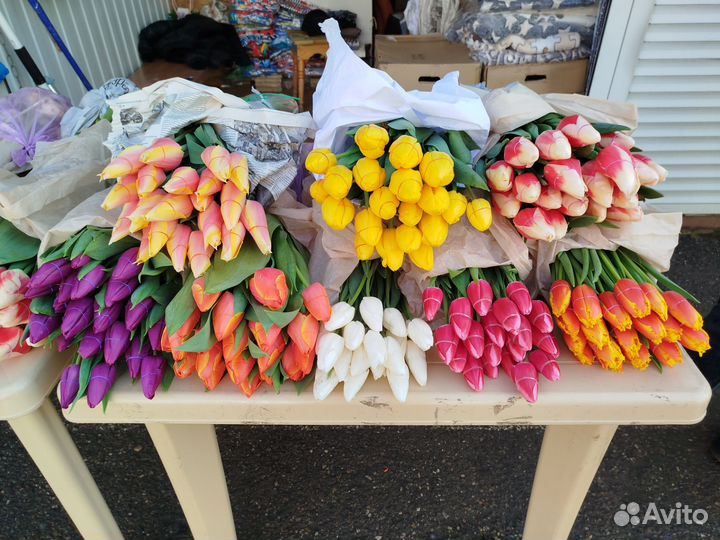 Тюльпаны к 8 марта