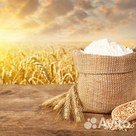 Мука пшеничная Высший сорт 50/25/10/5 кг и 2/с