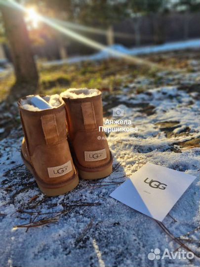 Ugg Australia Угги