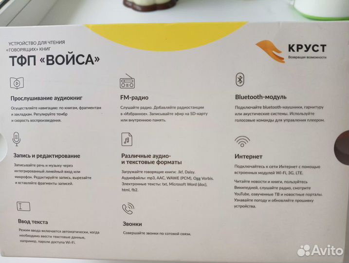Тифлофлешплеер войса