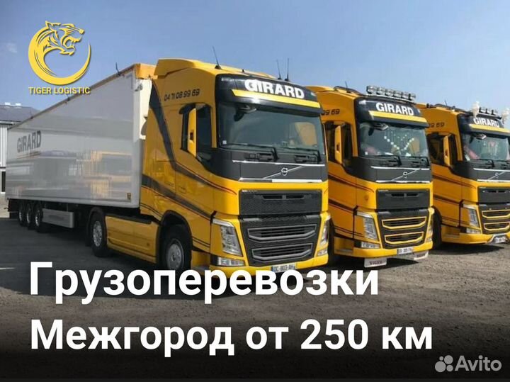 Грузоперевозки от 250 км