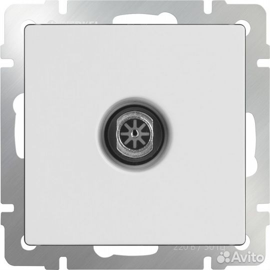 Розетка телевизионная Werkel 