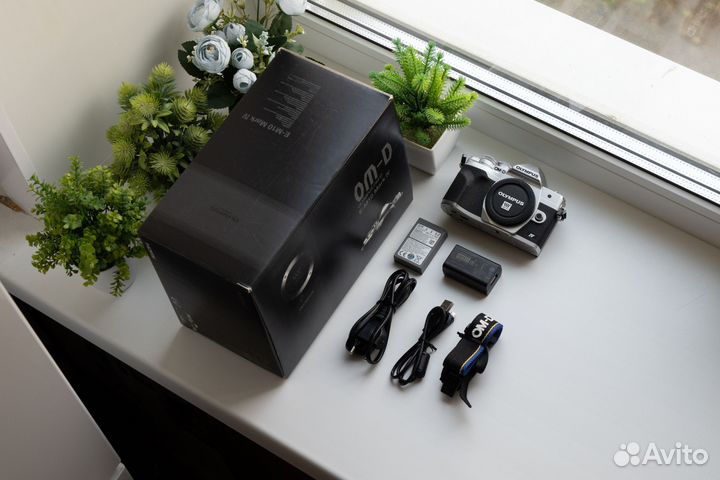 Olympus OM-D E-M10 Mark IV Body