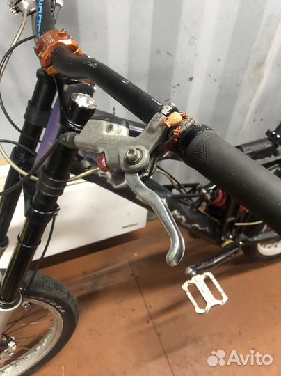 Avid code galvanized