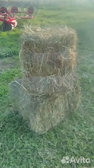 Сено в тюках