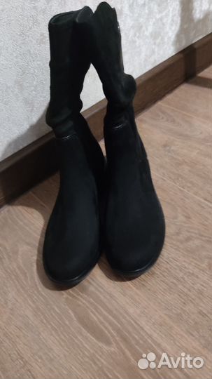 Сапоги осень весна женские новые
