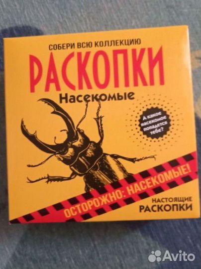Раскопки насекомые