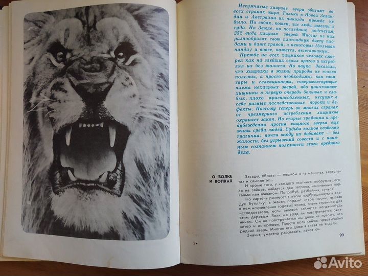 Акимушкин - Мир животных (Рассказы об утконосе.)