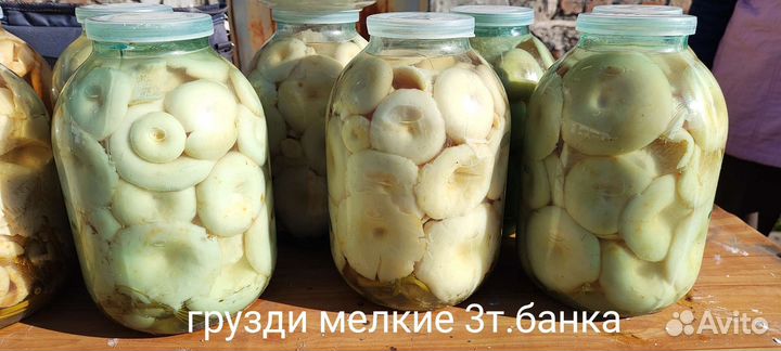 Продам соленые грузди