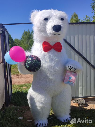 Поздравление от белого медведя