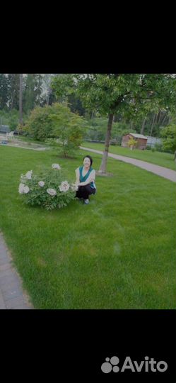 Домработница с проживанием