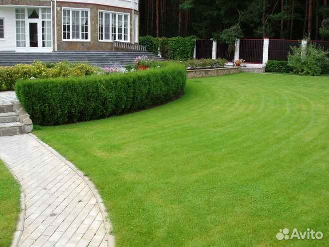 Рулонный газон напрямую от производителя