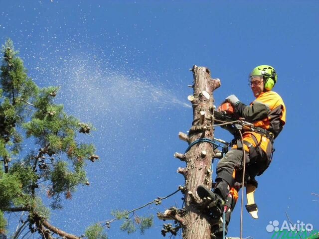 Спил обрезка деревьев расчистка участка