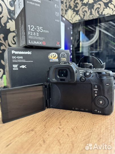Panasonic lumix gh5