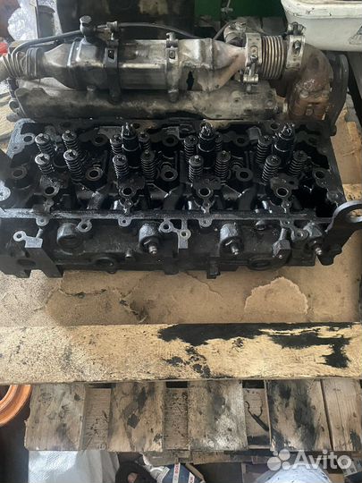 Гбц газон некст ямз 534
