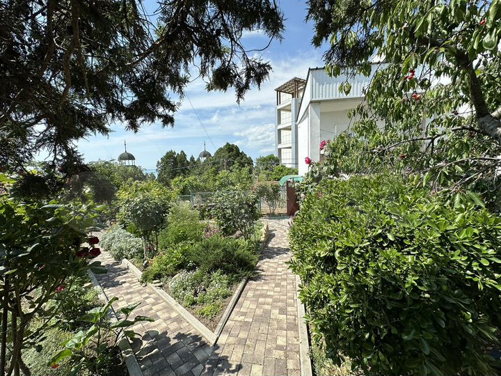 Комната 15 м² в 1-к., 1/2 эт.