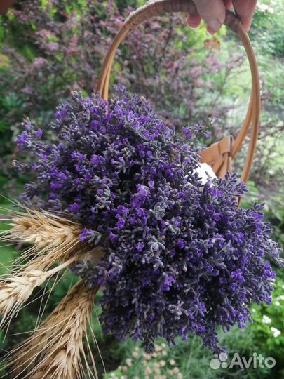 Лаванда букет