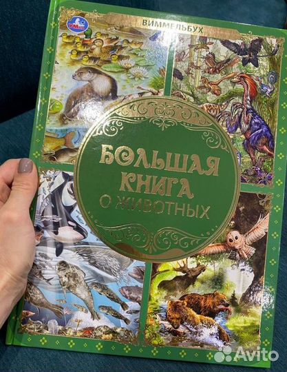 Большая книга о животных Виммельбух